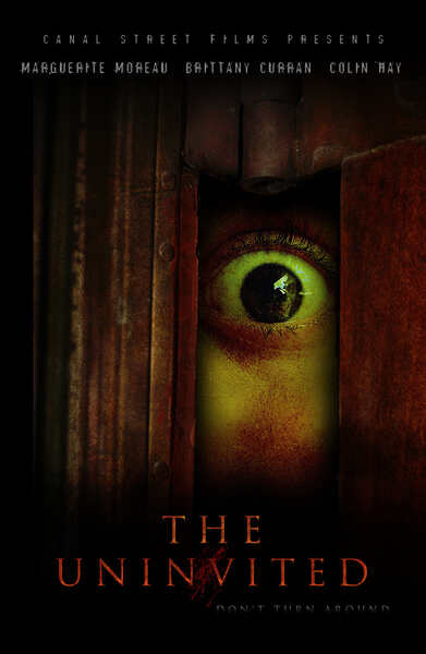 The Uninvited (2008) Screenshot 1