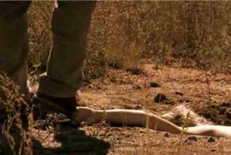 Naked Fear (2007) Screenshot 2