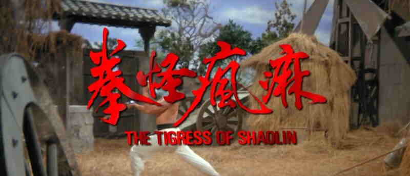 Ma fung gwai kuen (1979) Screenshot 3