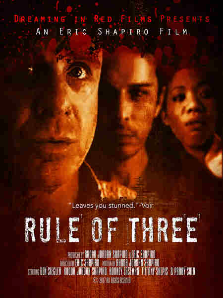 Rule of 3 (2008) Screenshot 3