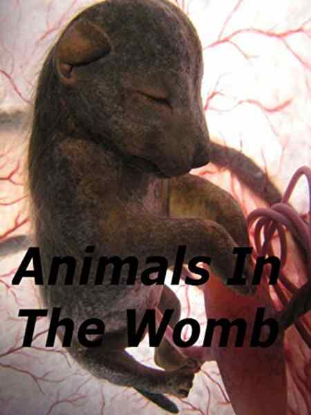 Animals in the Womb (2006) Screenshot 1