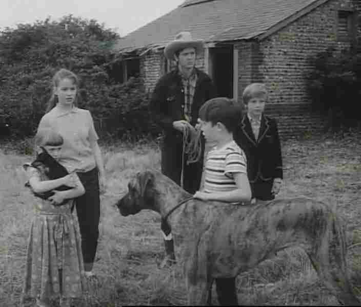 Beware of the Dog (1964–) starring Charles 'Bud' Tingwell on DVD on DVD