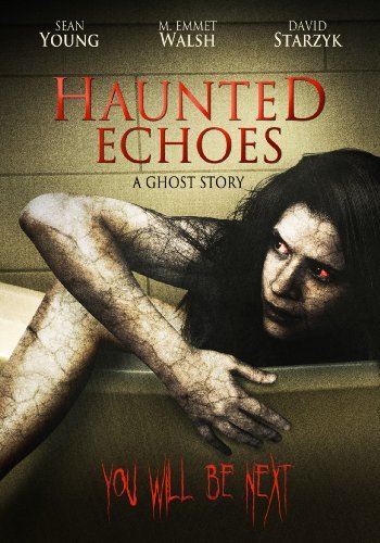 Haunted Echoes (2008) Screenshot 3