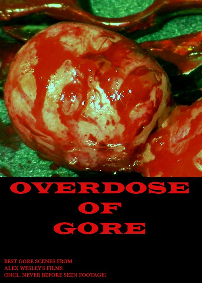 Overdose of Gore (2019) Screenshot 1 