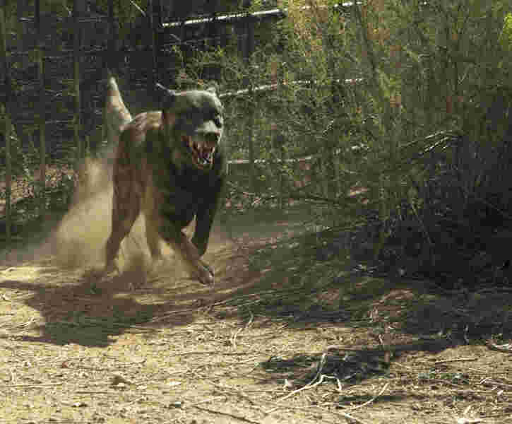 Red Canyon (2008) Screenshot 3