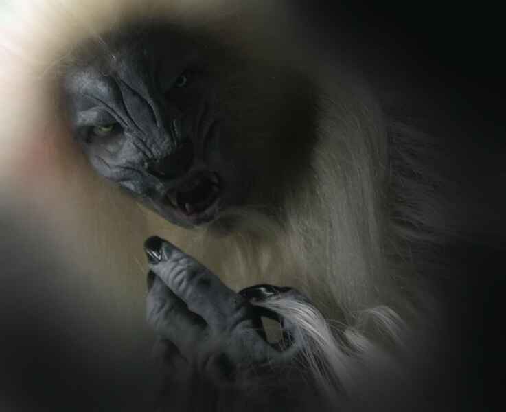 Werewolf: The Devil's Hound (2007) Screenshot 3