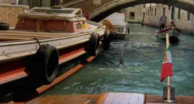 Shark in Venice (2008) Screenshot 5