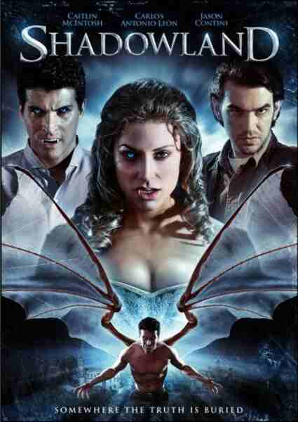Shadowland (2008) Screenshot 3