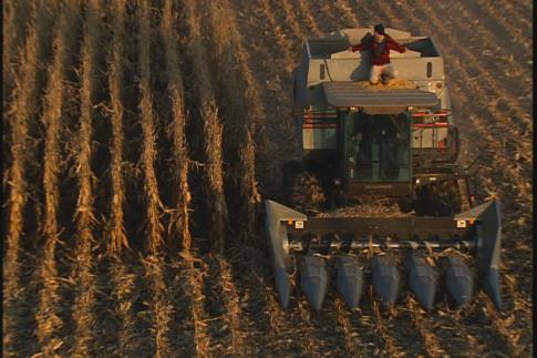 King Corn (2007) Screenshot 1