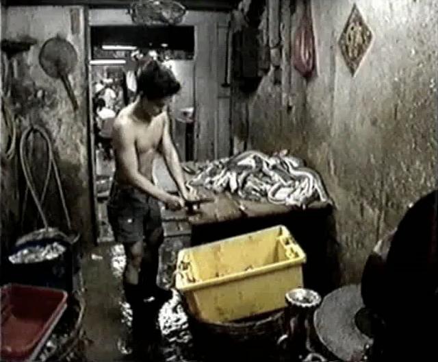 Kowloon - The Walled City (1988) Screenshot 2 
