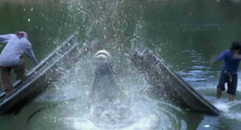 Croc (2007) Screenshot 4