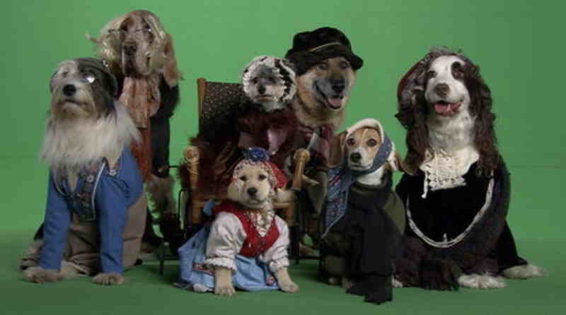 Heidi 4 Paws (2009) Screenshot 1
