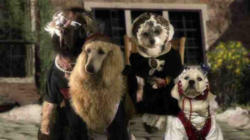 Heidi 4 Paws (2009) Screenshot 2