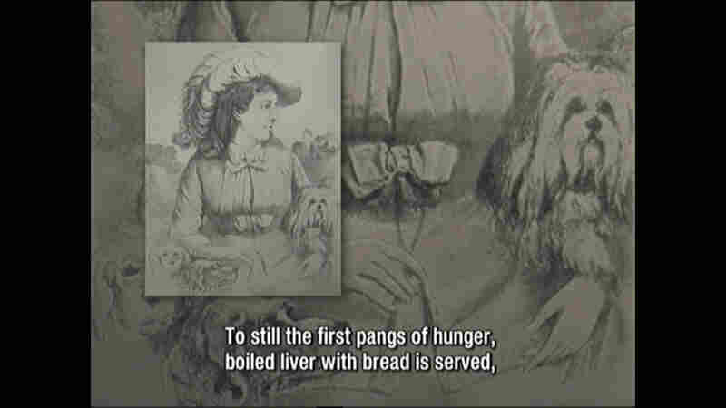 Patrasche: A Dog of Flanders, Made in Japan (2007) Screenshot 2