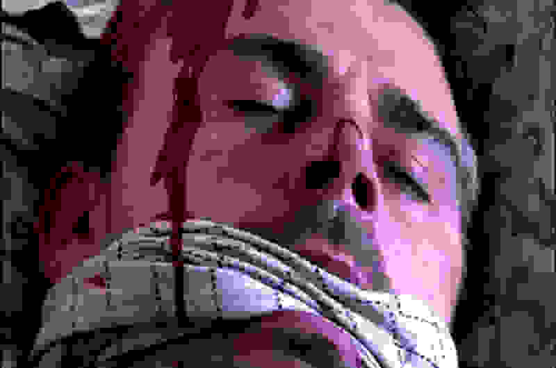 The Horror Vault 2 (2009) Screenshot 4