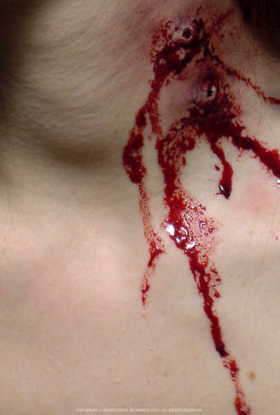 Blood + Roses (2010) Screenshot 1