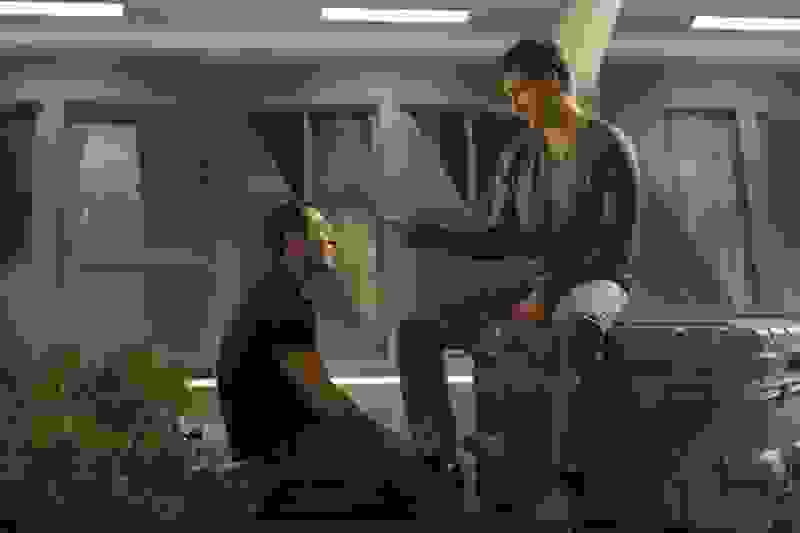 Virtuality (2009) Screenshot 5