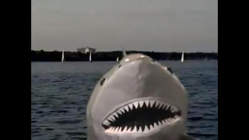 Marina Monster (2008) starring Trevor Crane on DVD DVD Marina Monster (2008) Screenshot 2