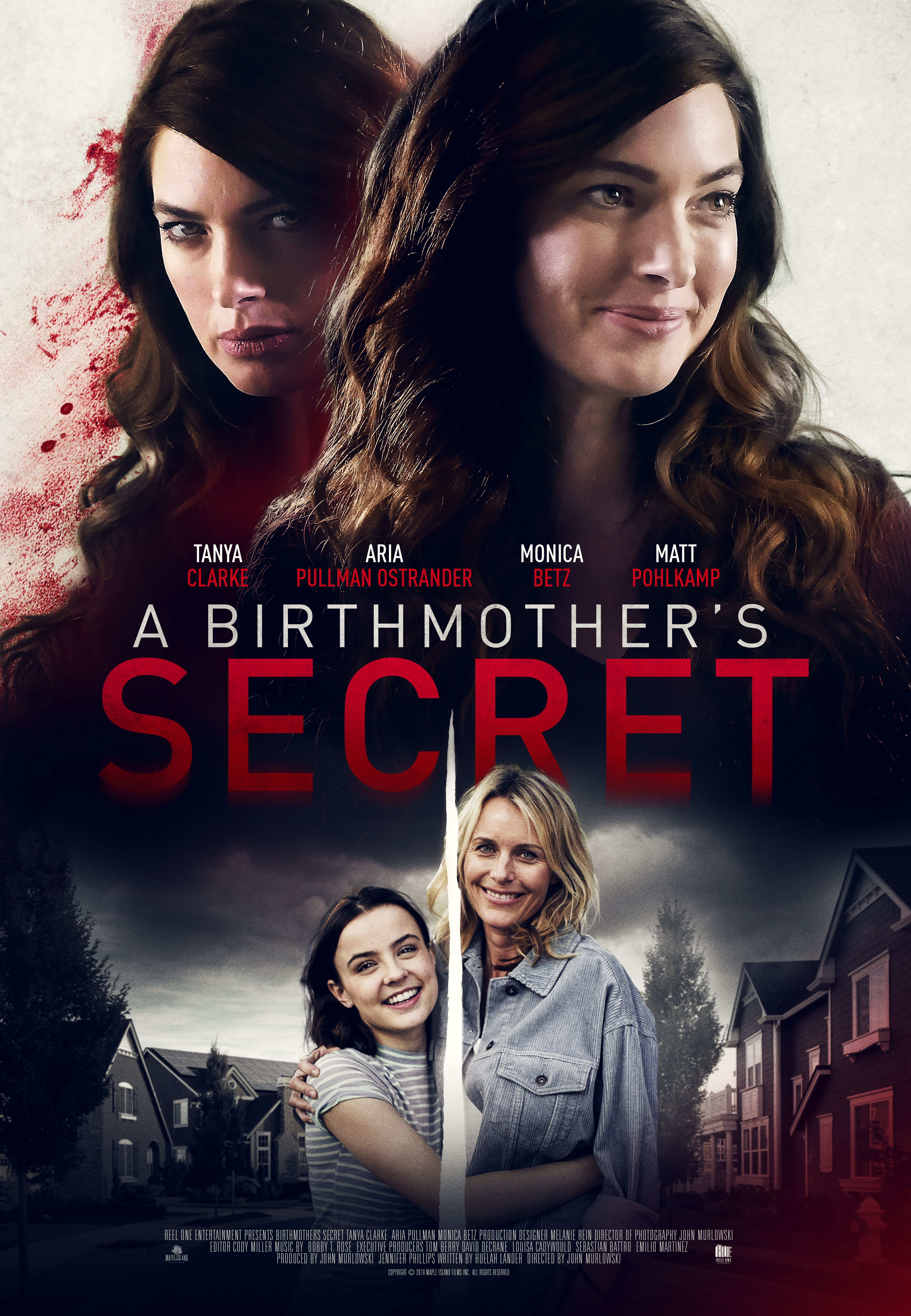 Birthmother's Betrayal (2020) starring Tanya Clarke on DVD on DVD