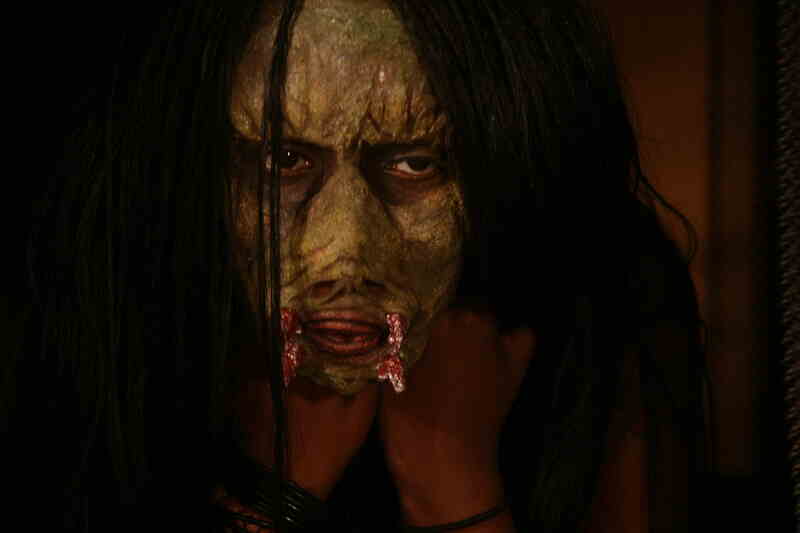 Bachelor Party in the Bungalow of the Damned (2008) Screenshot 1
