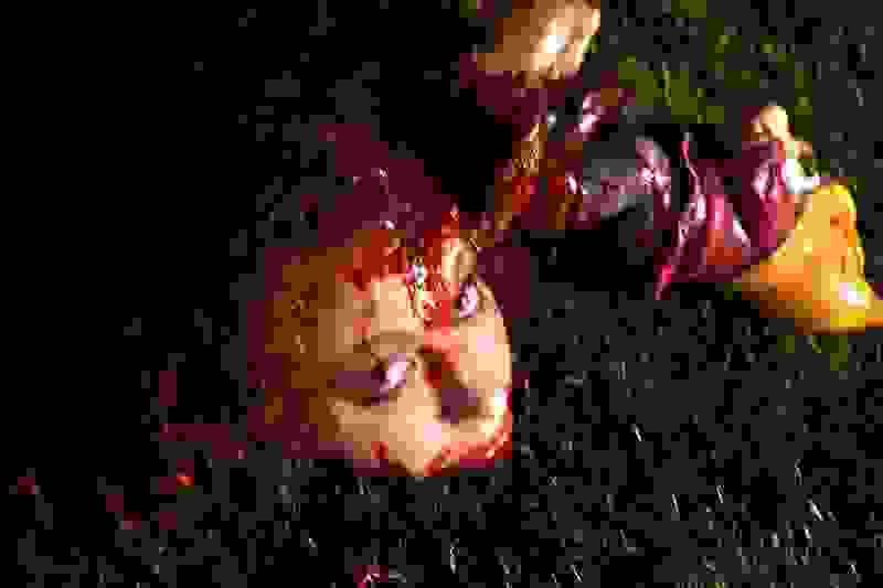 Bachelor Party in the Bungalow of the Damned (2008) Screenshot 2