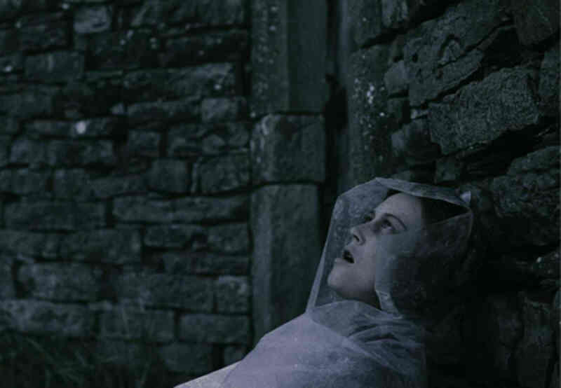 Lazarus Taxon (2008) Screenshot 1