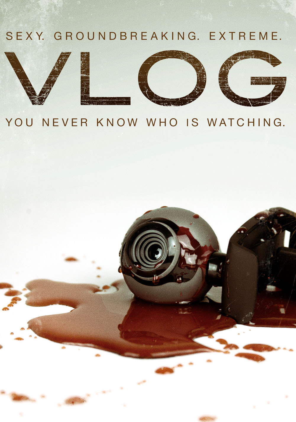 Vlog (2008) starring Brooke Marks on DVD on DVD
