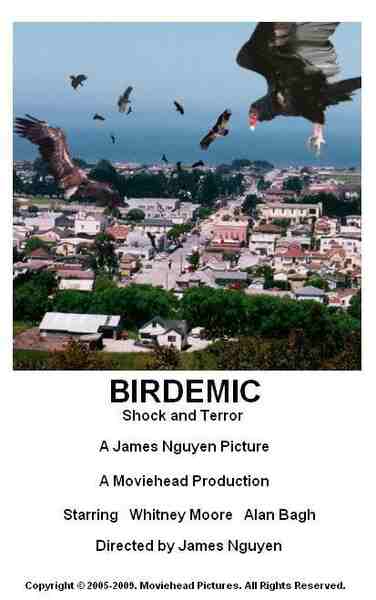 Birdemic: Shock and Terror (2010) Screenshot 1