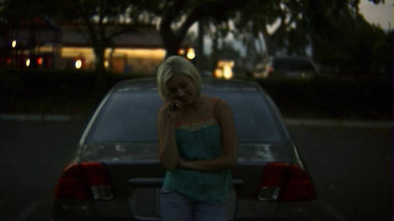 Birdemic: Shock and Terror (2010) Screenshot 3