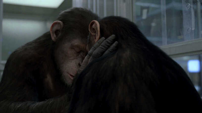 Rise of the Planet of the Apes (2011) Screenshot 4