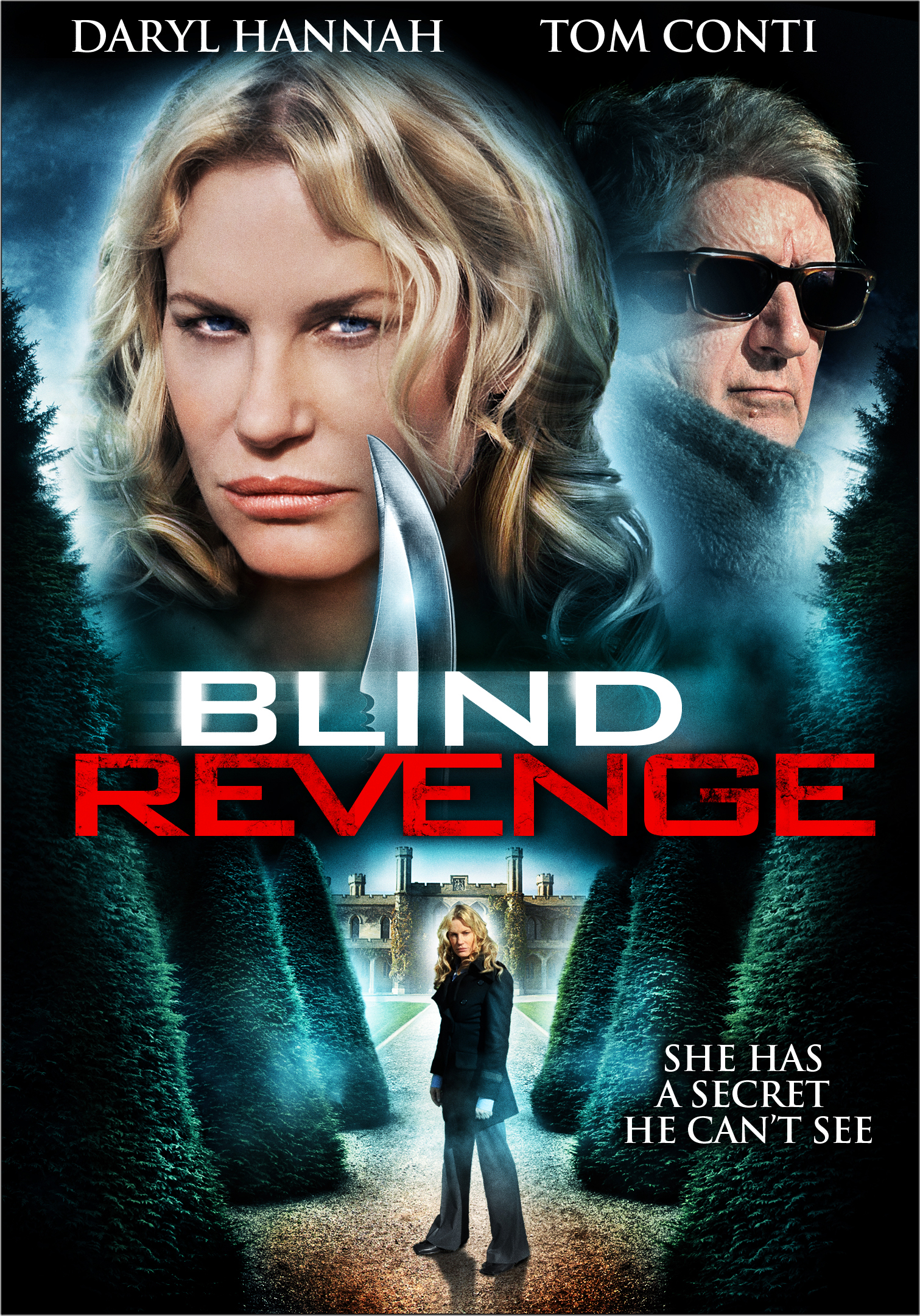 Blind Revenge (2009) starring Tom Conti on DVD on DVD