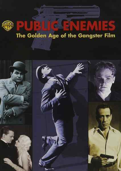 Public Enemies: The Golden Age of the Gangster Film (2008) starring Alec Baldwin on DVD on DVD