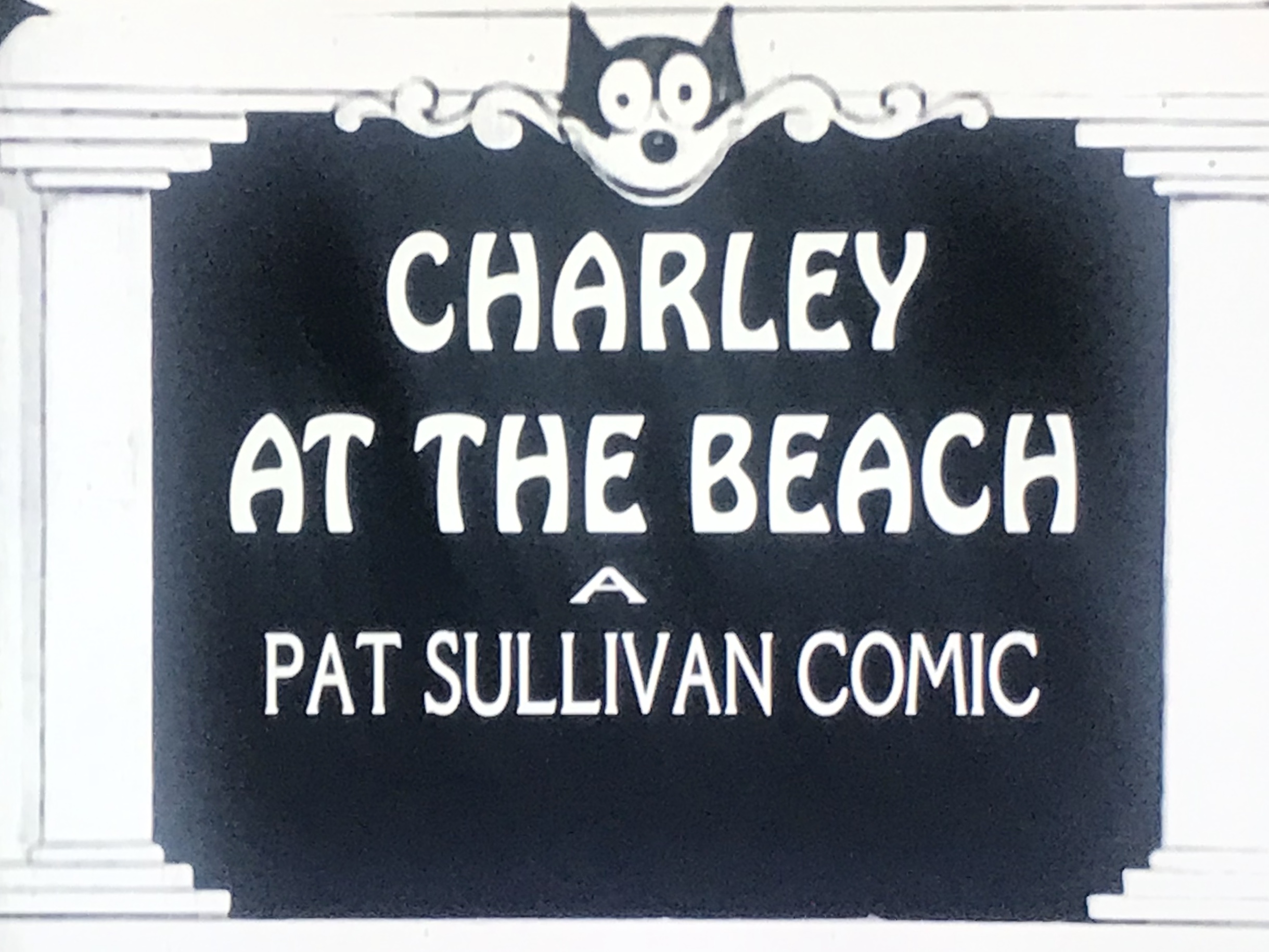 Charley at the Beach (1919) Screenshot 5 