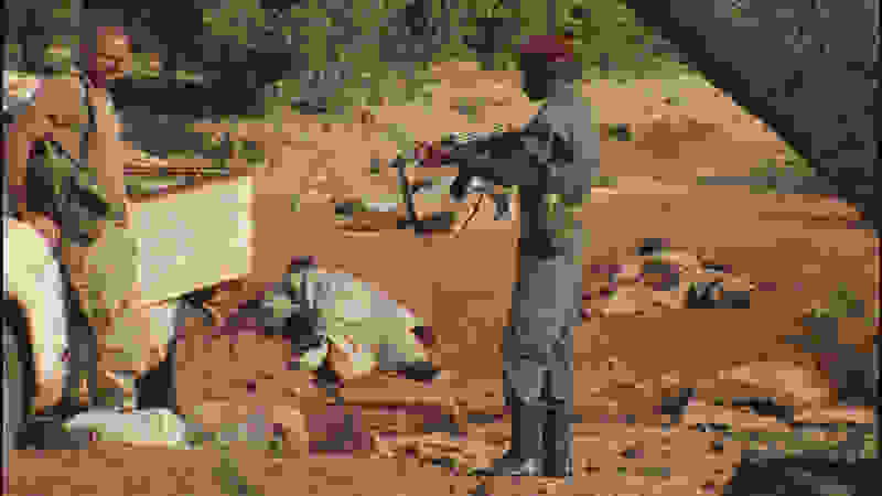 The Dead (2010) Screenshot 5
