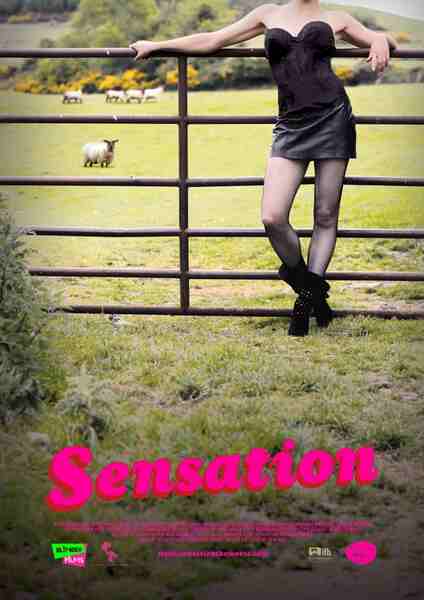 Sensation (2010) Screenshot 2