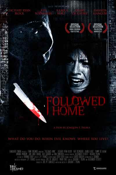 Followed Home (2010) Screenshot 1