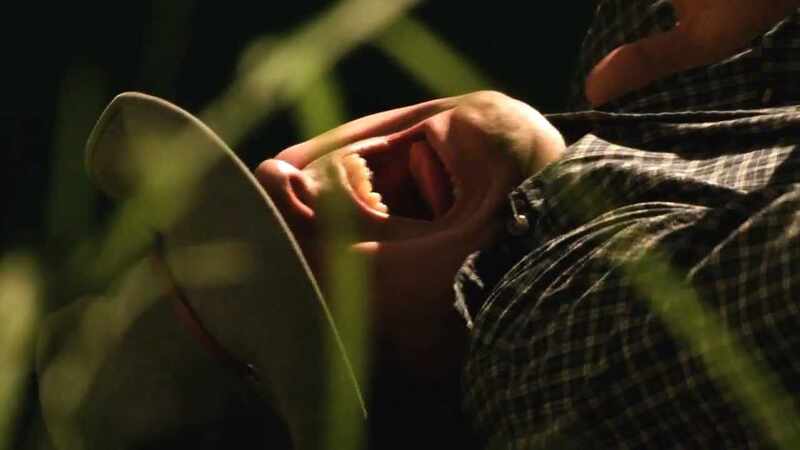 They Came from the Attic (2009) Screenshot 1