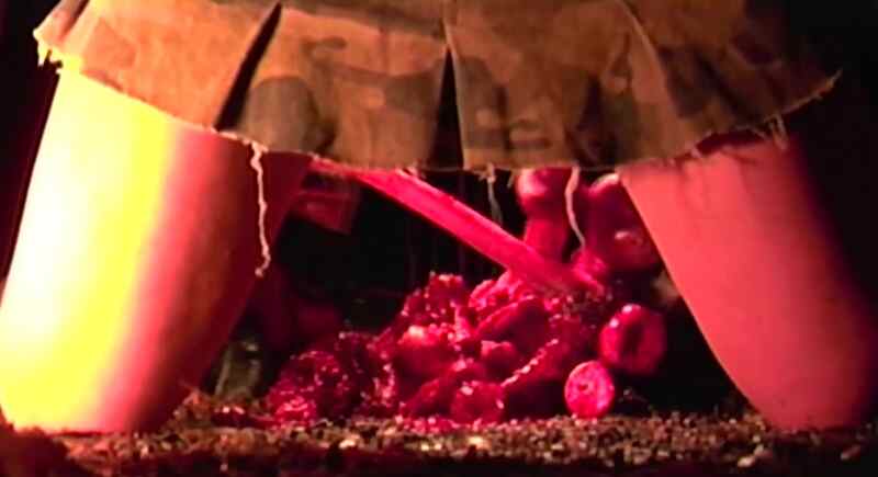 Terror at Blood Fart Lake (2008) Screenshot 3
