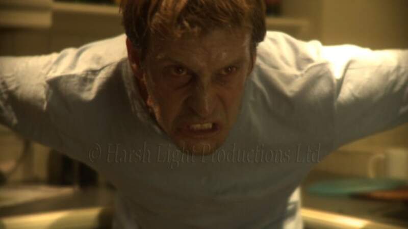 The Harsh Light of Day (2012) Screenshot 5