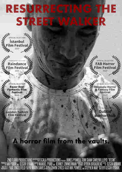 Resurrecting the Street Walker (2009) Screenshot 4