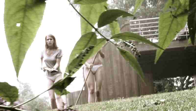Evil Weed (2009) Screenshot 2