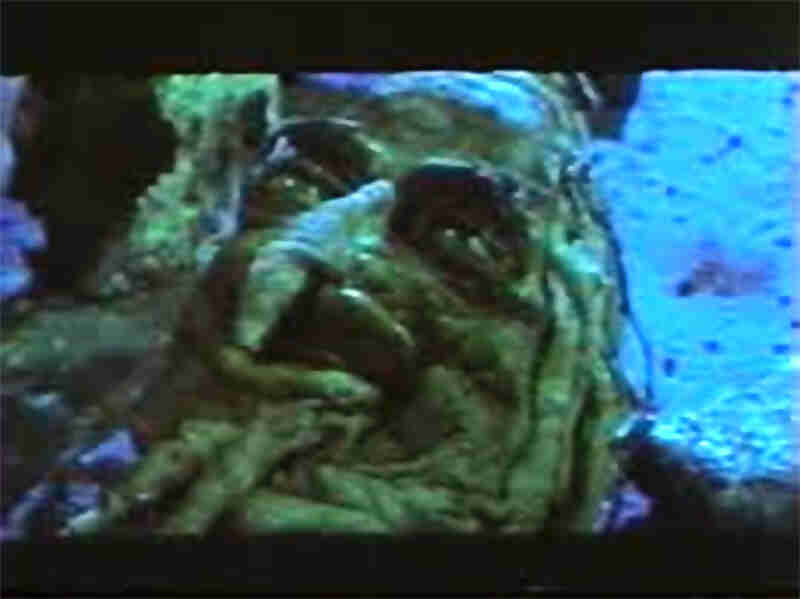 San tou mo wang (1988) Screenshot 3