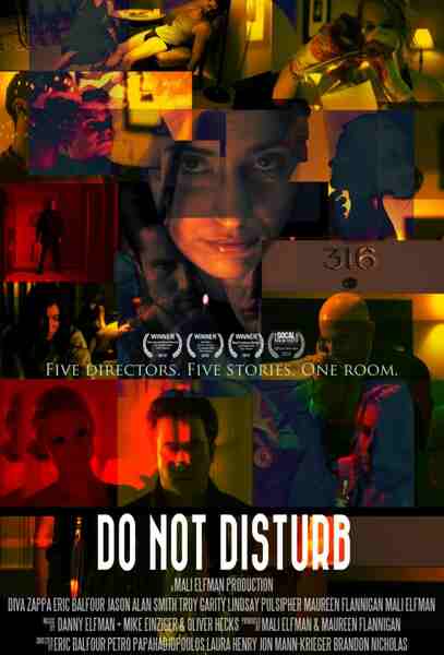Do Not Disturb (2011) Screenshot 1