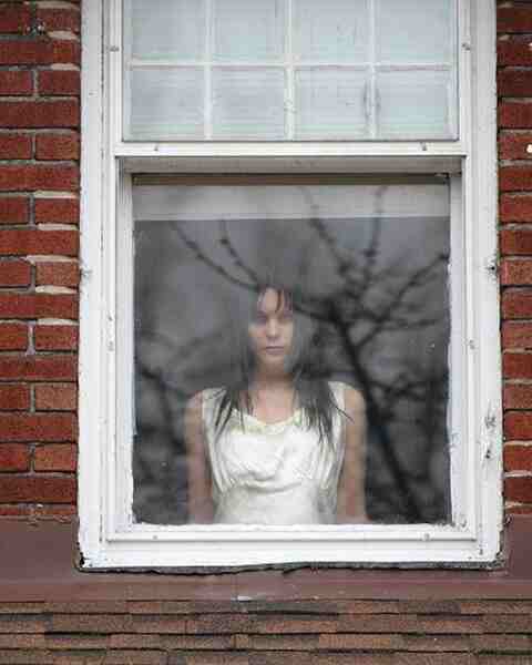 Secrets in the Walls (2010) Screenshot 4