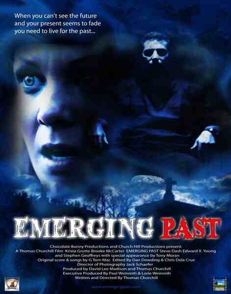 Emerging Past (2011) Screenshot 1