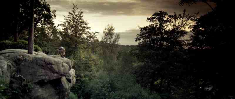 The Hike (2011) Screenshot 2
