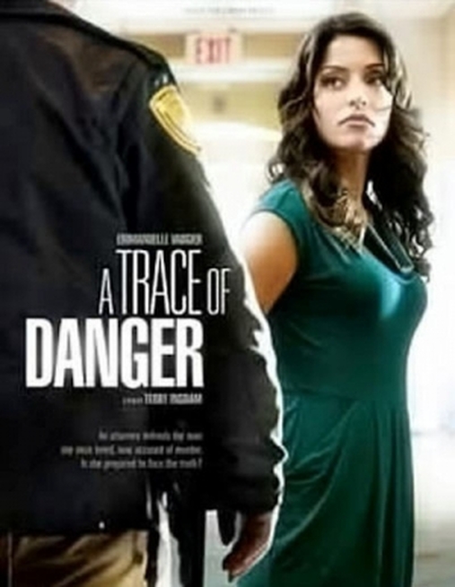 A Trace of Danger (2010) Screenshot 1