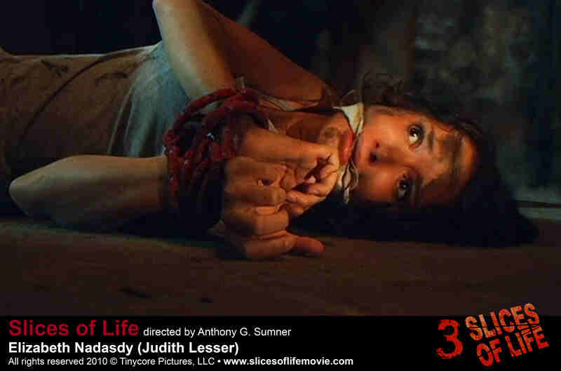 III Slices of Life (2010) Screenshot 2