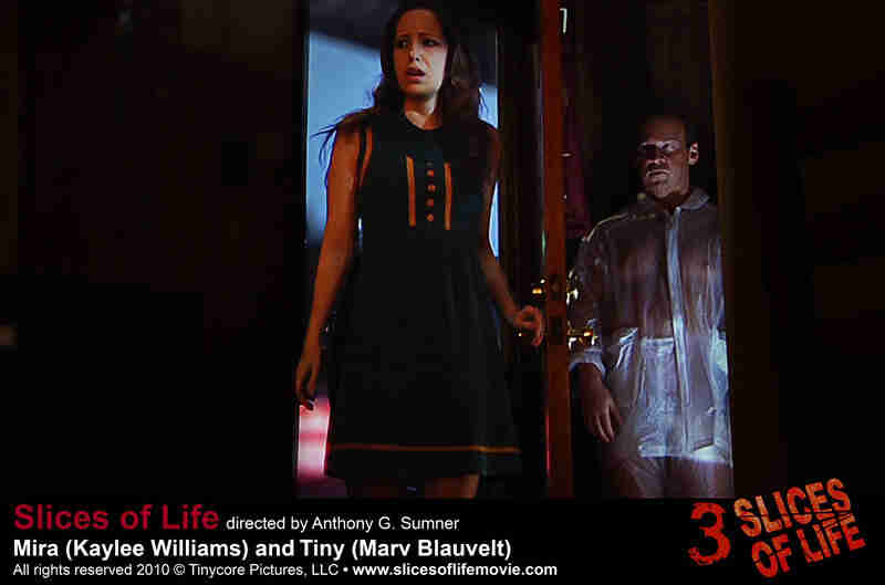 III Slices of Life (2010) Screenshot 5
