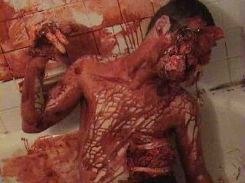 The Aborted (2010) Screenshot 2